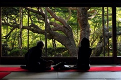 宝泉院