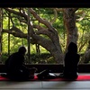 宝泉院