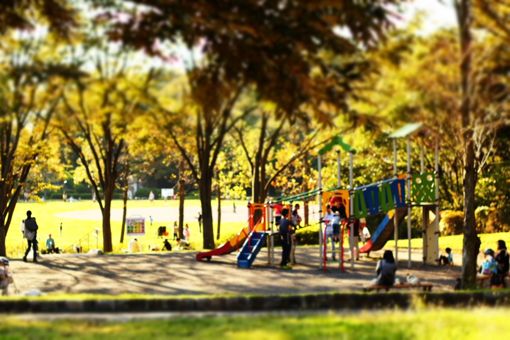日曜の公園