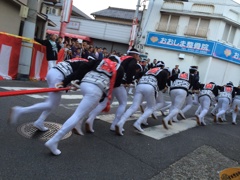 忠岡だんじり祭