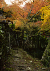 深く秋に染まる牛滝山道