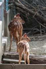 親子そっくり ＾＾