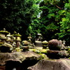 岩に染み入る