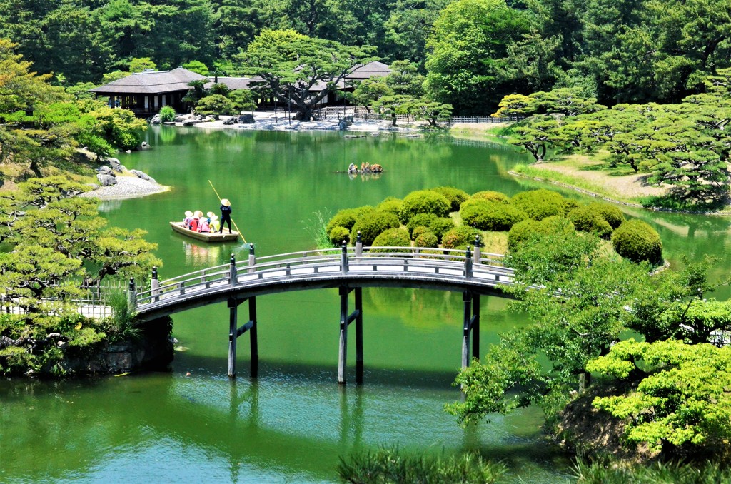 栗林の初夏