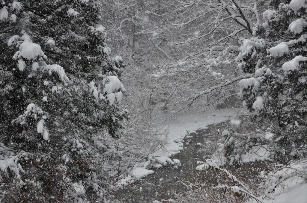 雪の川２