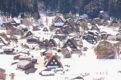 山里の雪