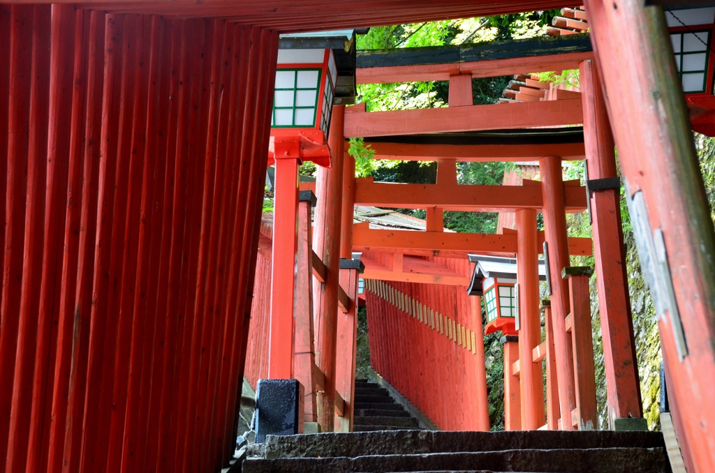 上へ上へ