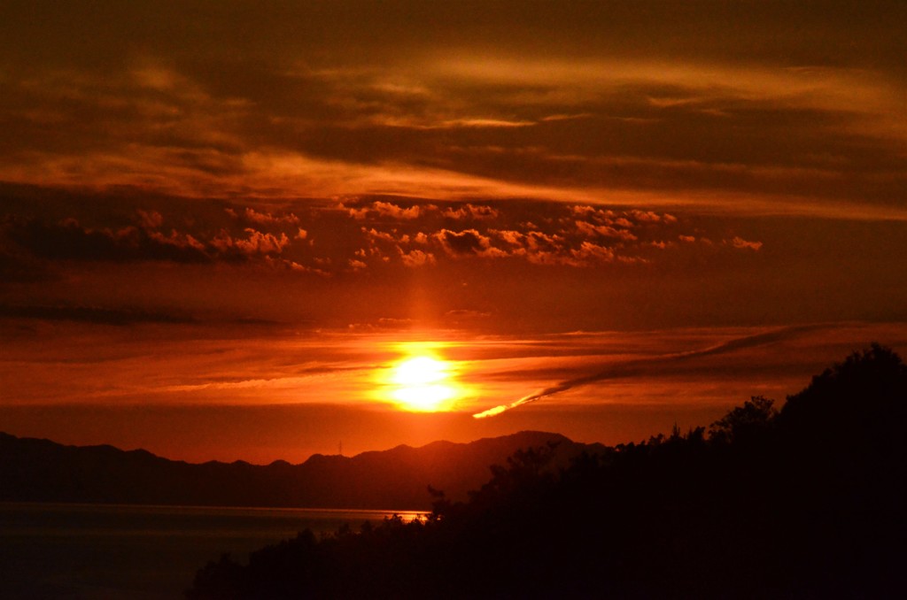 夕日3