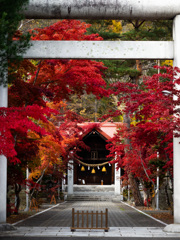 北海道 遠輕神社の紅葉その1