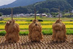 妖怪現る