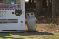 寄り添って