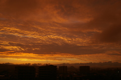 Stay Gold