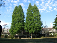 諸行無常を知らされて