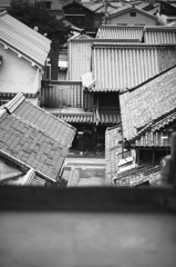 IMG_5371