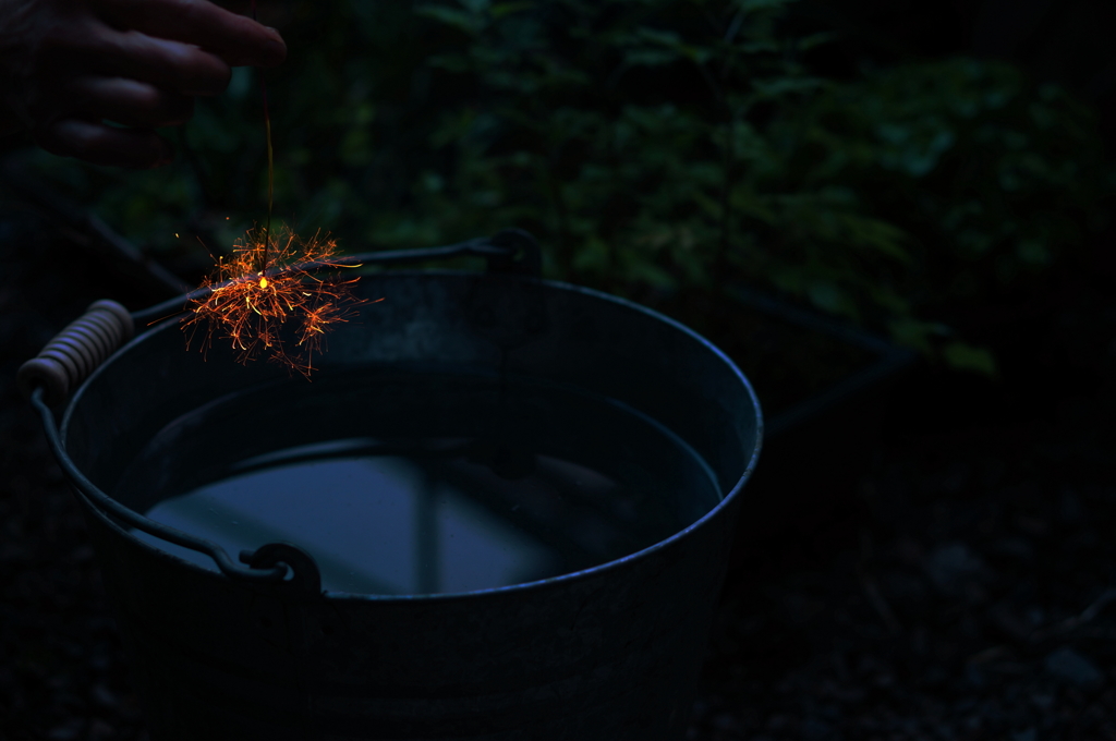 バケツの上に咲く花は