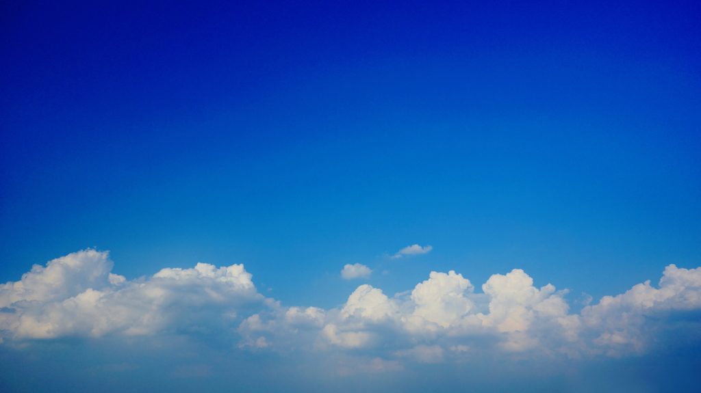 空が青いから白を選んだのです