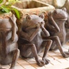 みざる、きかざる、、あれ？