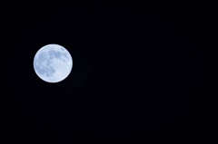 blue moon