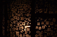 into the light