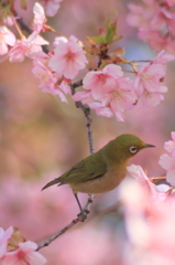 東北の復興を祈ります　1/4