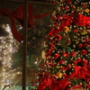 暮れの街角、クリスマスツリー