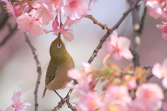 東北の復興を祈ります 2/4