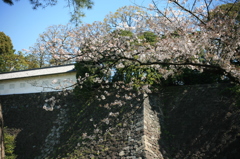 皇居乾通り一般公開　富士見多聞・石垣