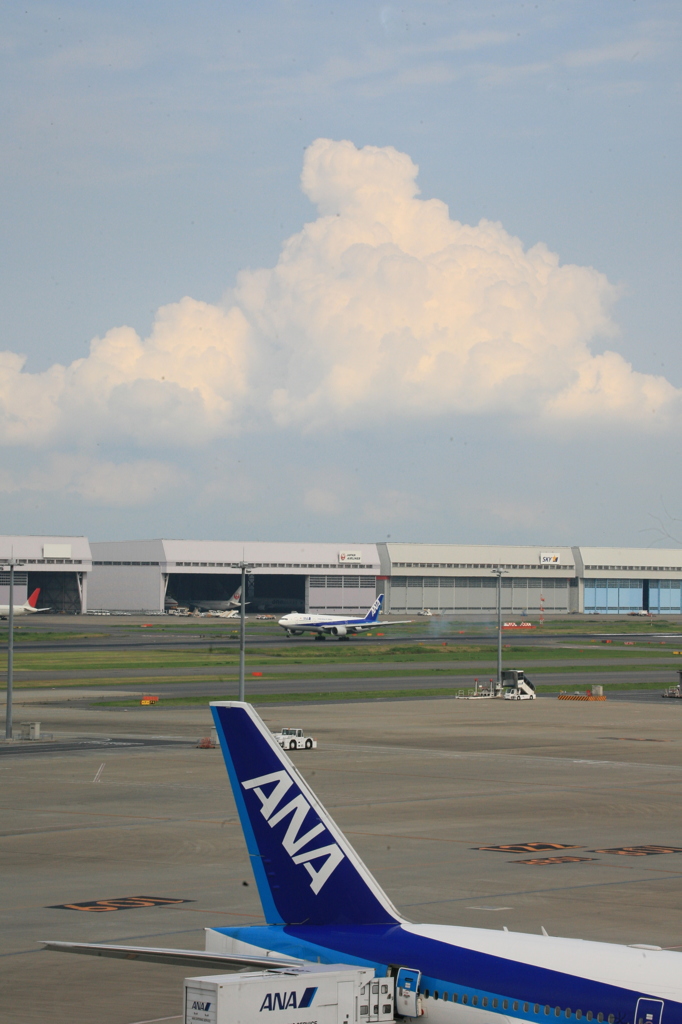 夏空と飛行機