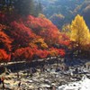 巴川と秋の木々