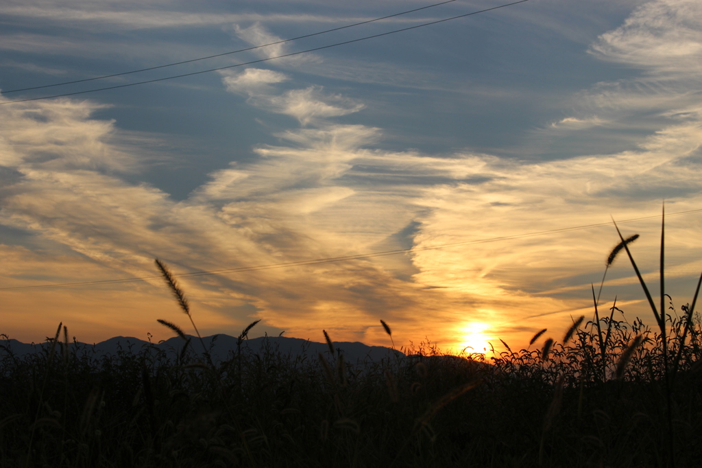 秋の空