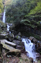 養老の滝