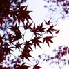 天に向かって