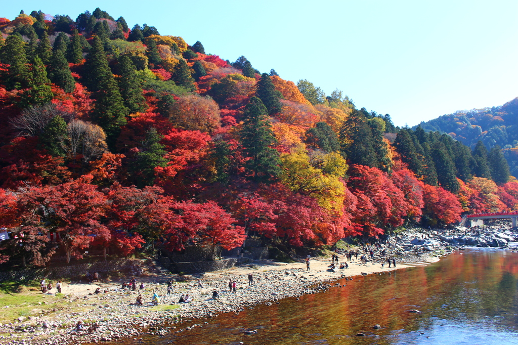 川も、秋色。