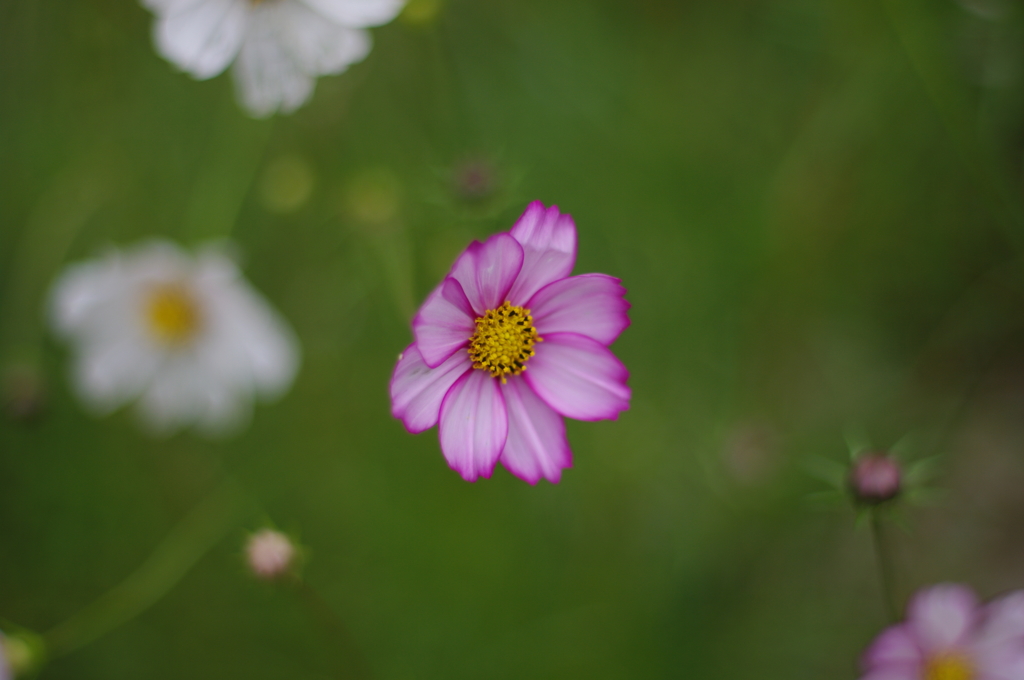 IMGP9357