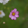IMGP9357