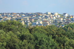 木々に浮かぶ街