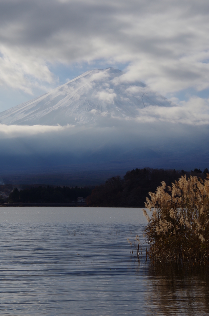 富士山　河口湖より