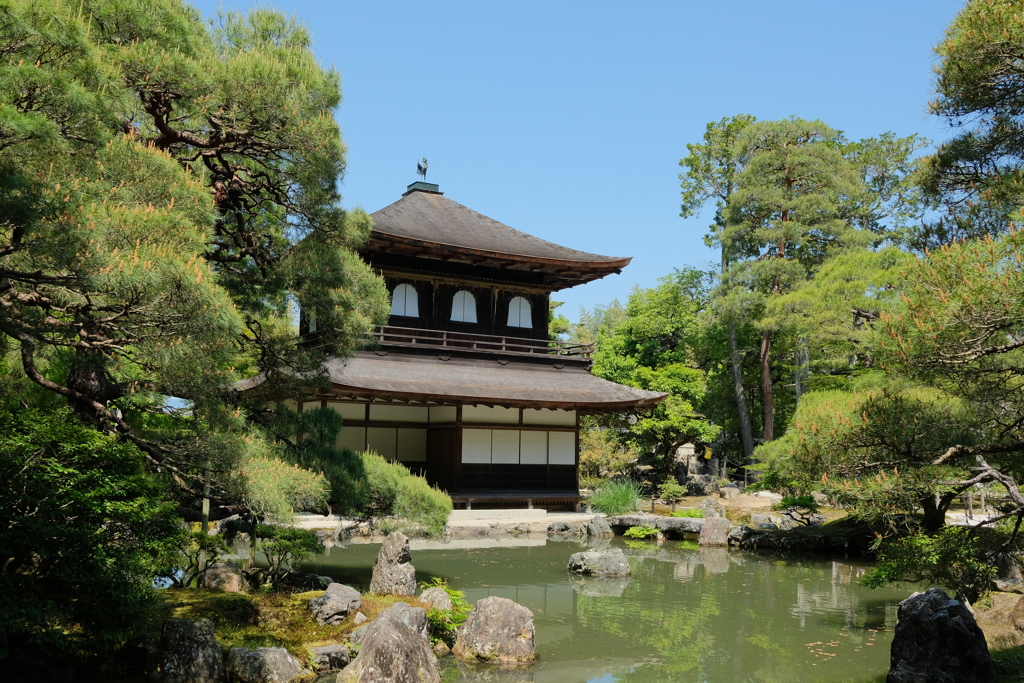 風薫る慈照寺１