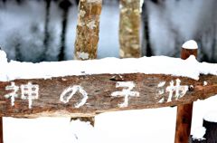 神の子池
