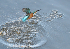 相方のダイビング 2