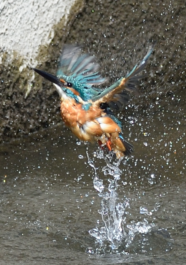 水浴び