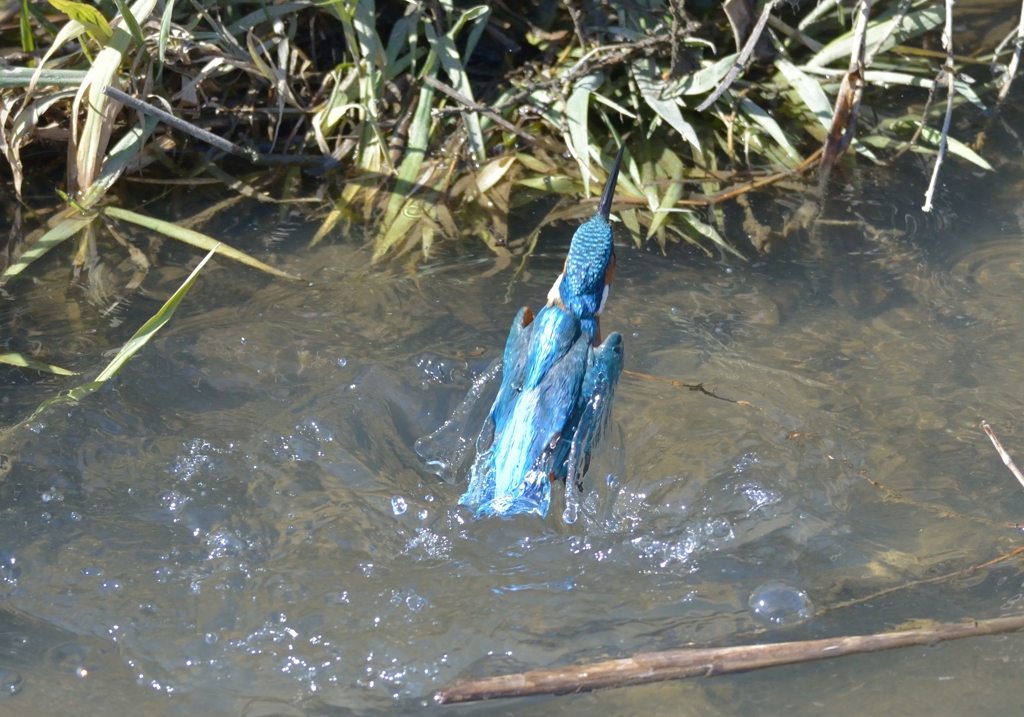 水の衣装　1