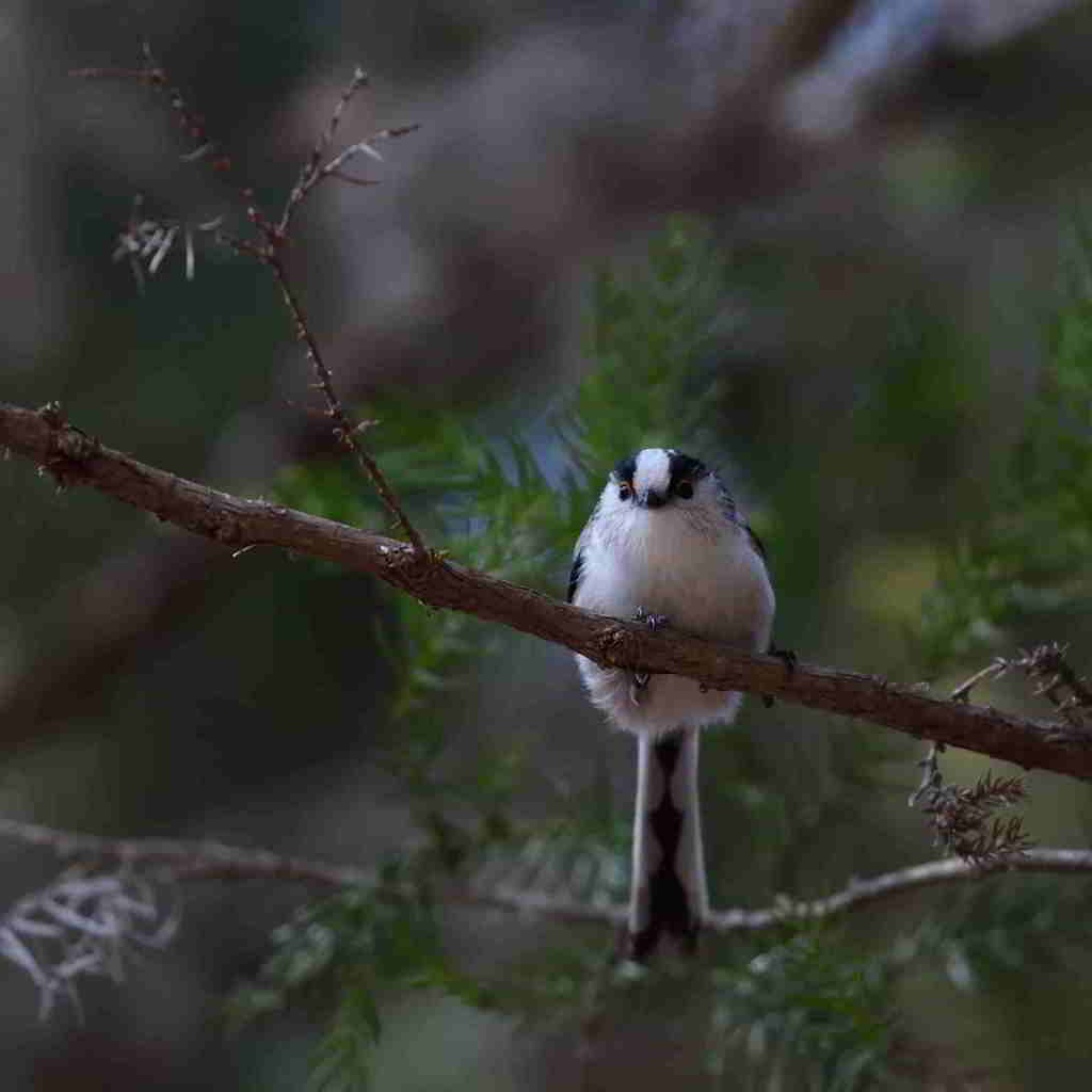 何もしなくても