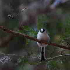 何もしなくても