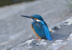 撮影データの確認