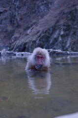 ちょっと吐きそう