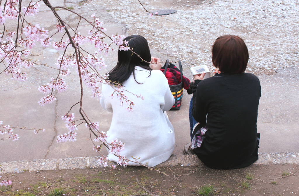 お花見女子会