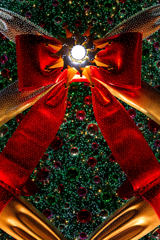 クリスマスツリー in  usj