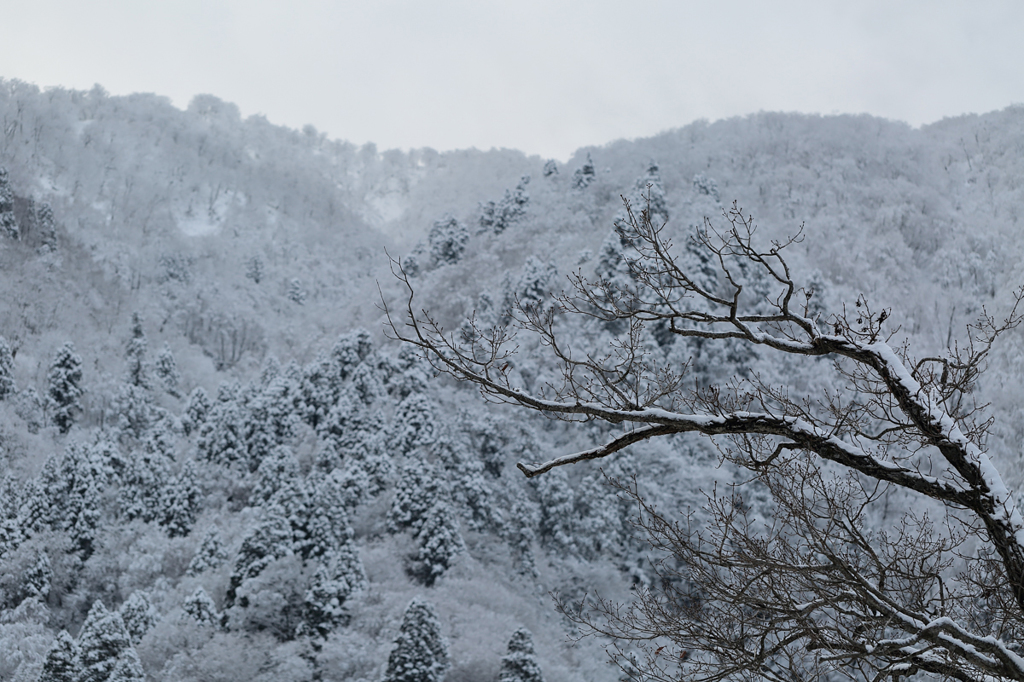 雪景色