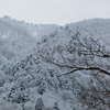 雪景色